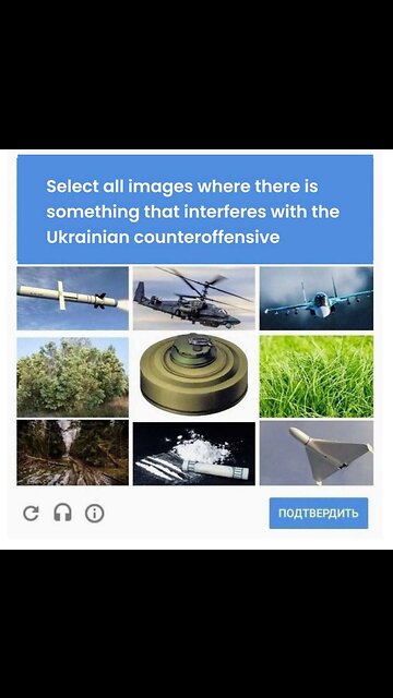 There are no nazi's in Ukraine 🤮🤮🤮