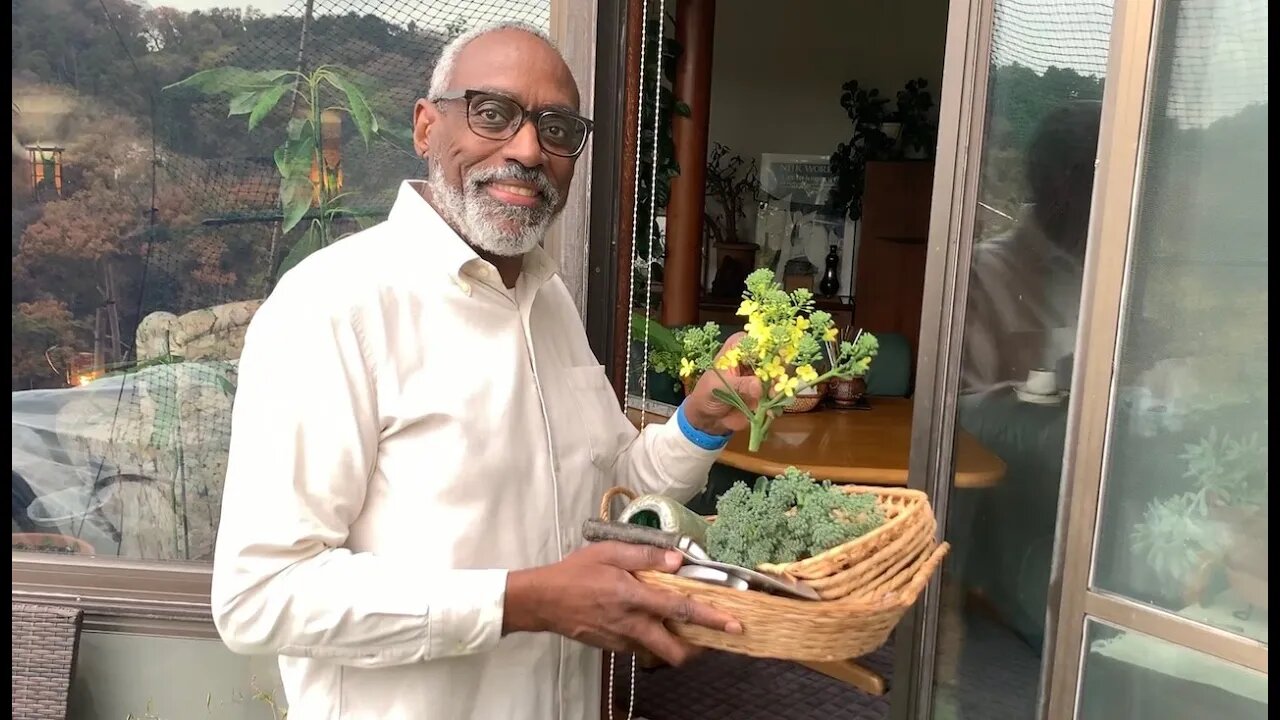 Yet Another Potato 🥔 & Broccoli 🥦 Harvest!