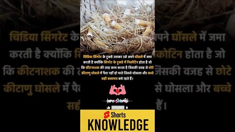 Motivational Quotes Intresting Facts lifestyle & research #shorts #ytshorts #knowledge #motivation