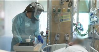 As omicron cases rise, COVID deaths appear to decline