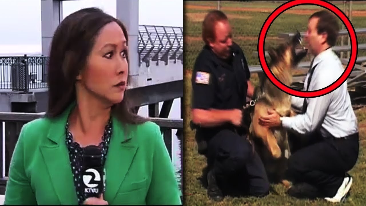 SCARIEST THINGS CAUGHT ON LIVE TV!!