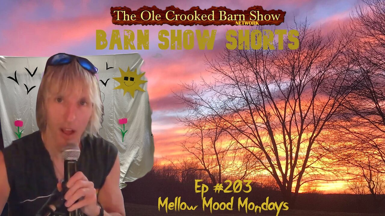 "Barn Show Shorts " Ep. #203 “Mellow Mood Mondays”