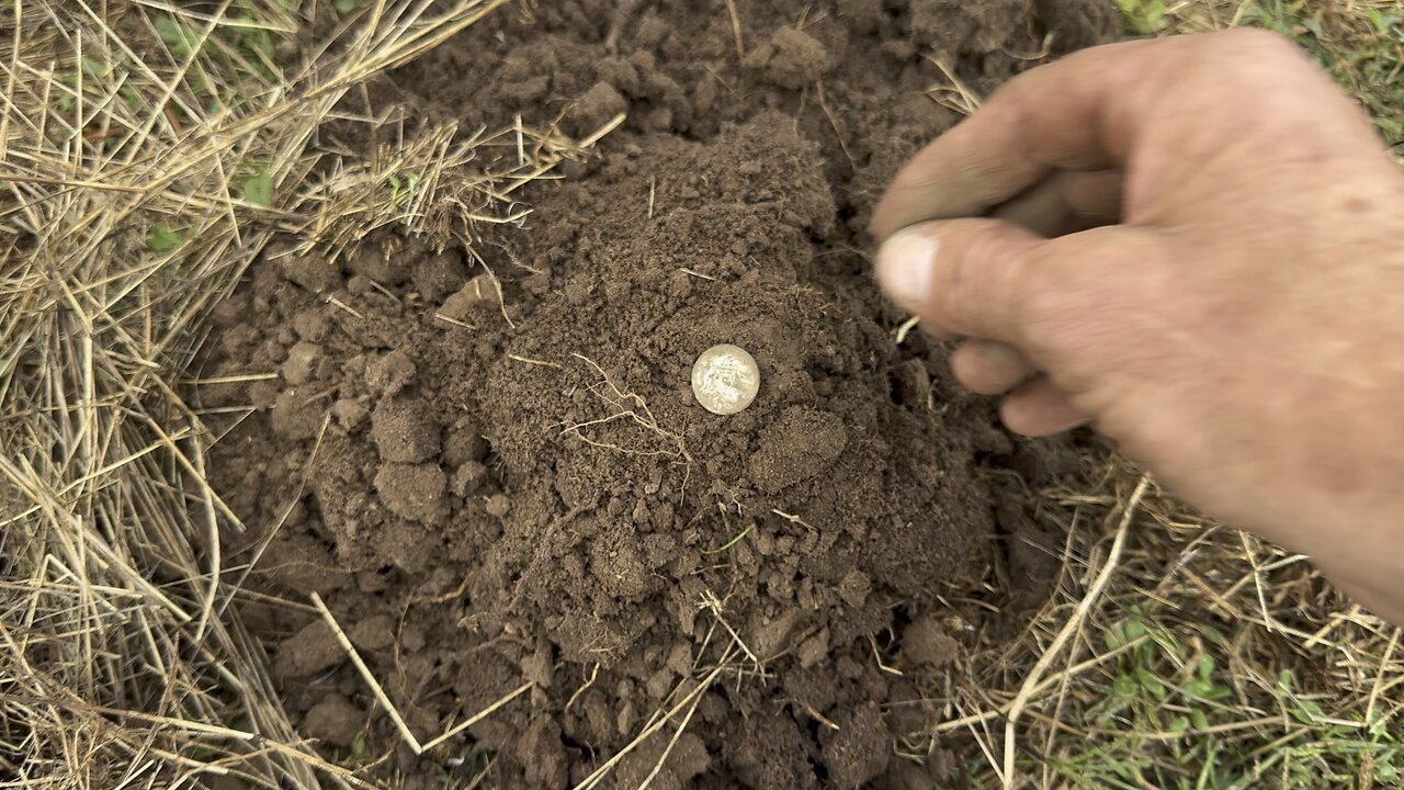 It’s Raining Silver Metal Detecting