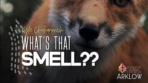 What's That Smell!? - Kyle Chahanovich October 2nd, 2022