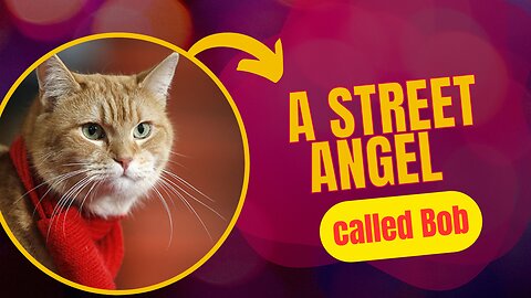A street Angel called Bob