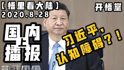 【悟里看大陆】2020.8.28国内播报(上)/开悟堂