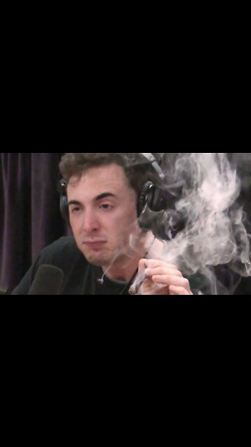 These Stocks Are Blazin' 🌿