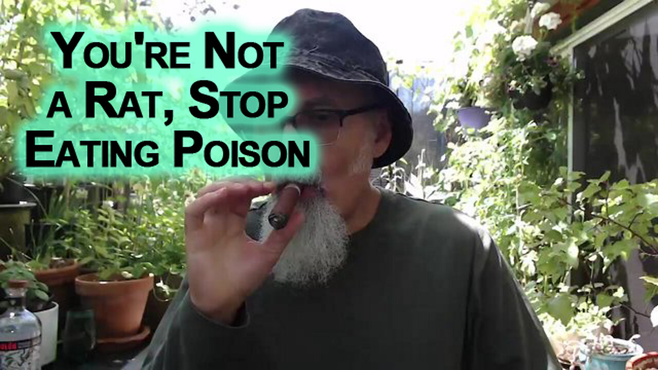 Do You Know Why Rats Eat Rat Poison? Because They’re Rats: You're Not a Rat, Stop Eating Poison