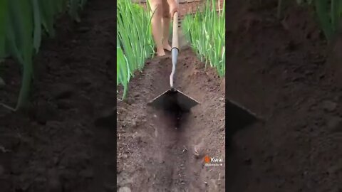 videos shorts do kawai #shorts