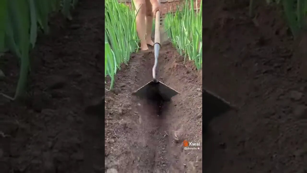 videos shorts do kawai #shorts