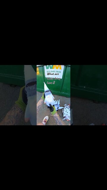 What are these Gnomes doing in the dumpster 😳