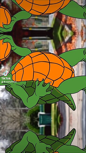 Turtle Basketball