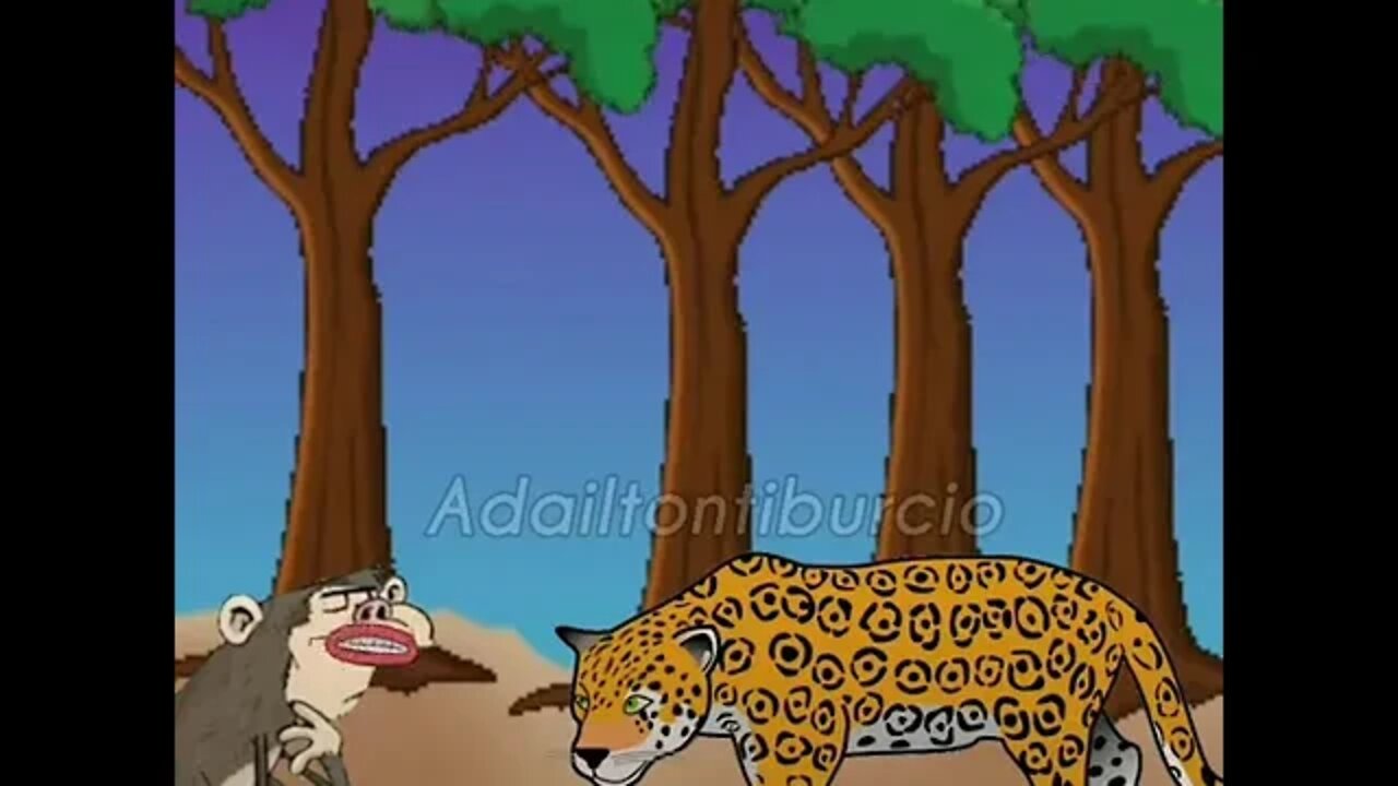 A história de um cachorro,um macaco e uma onça 😂