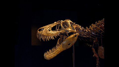 Jane the Tyrannosaur Juvenile