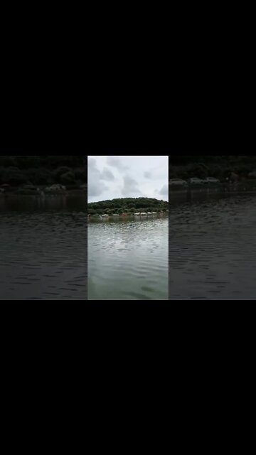 learn how to make these stuffs or learn editing 😑 #shorts #learn