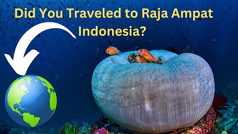 Did You Traveled to Raja Ampat Indonesia?