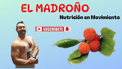 El madroño