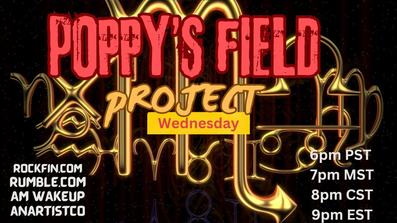 Poppy's Field Project 11/13/24