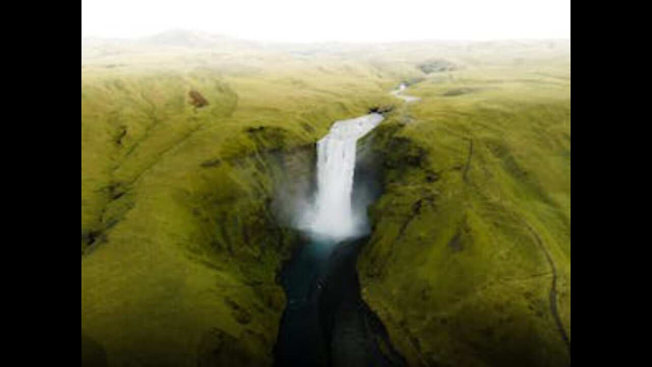 Nature video / jungle and tries /Water falling from the mountain