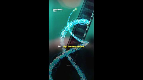 Epigenetics