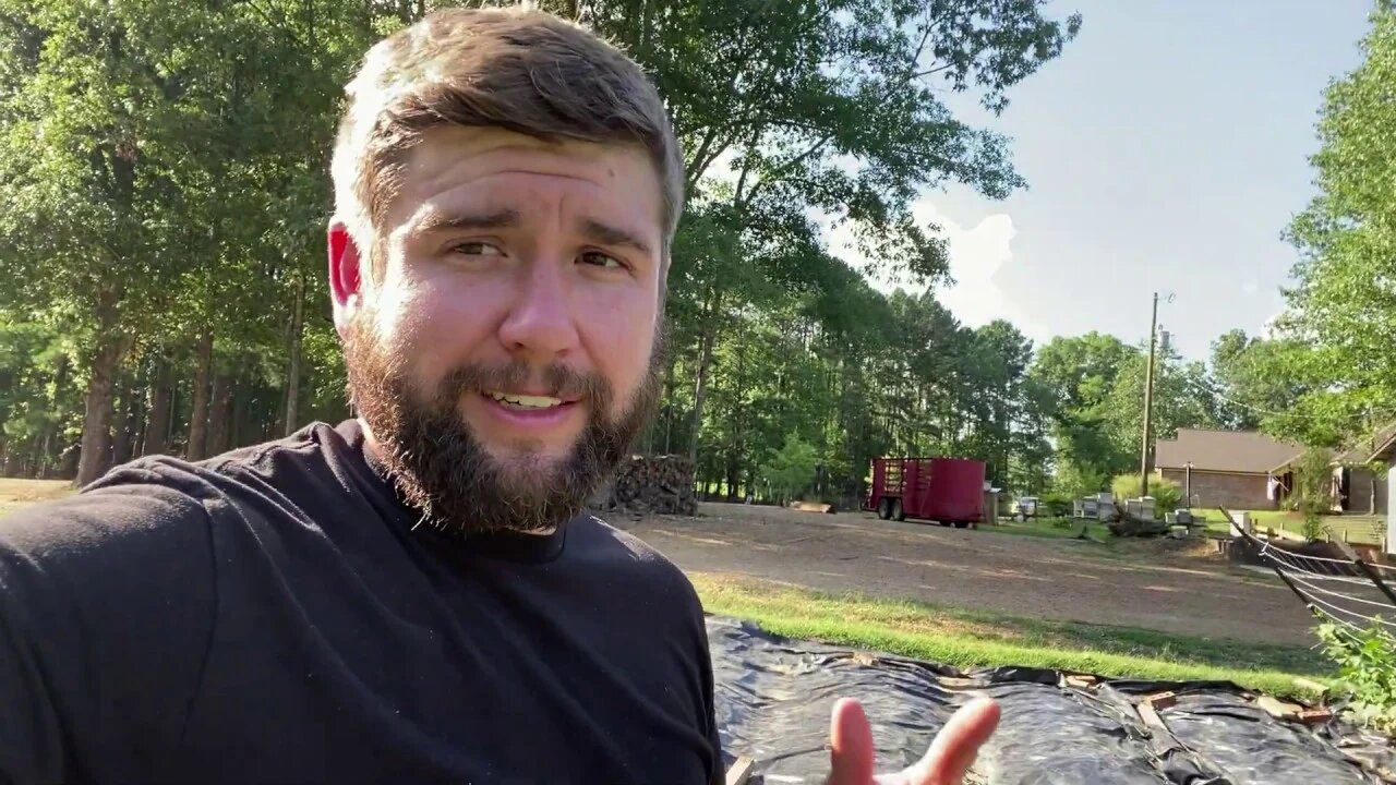 Look At ALL THIS - The Mac's #VLOG #homesteading #homestead #themac's