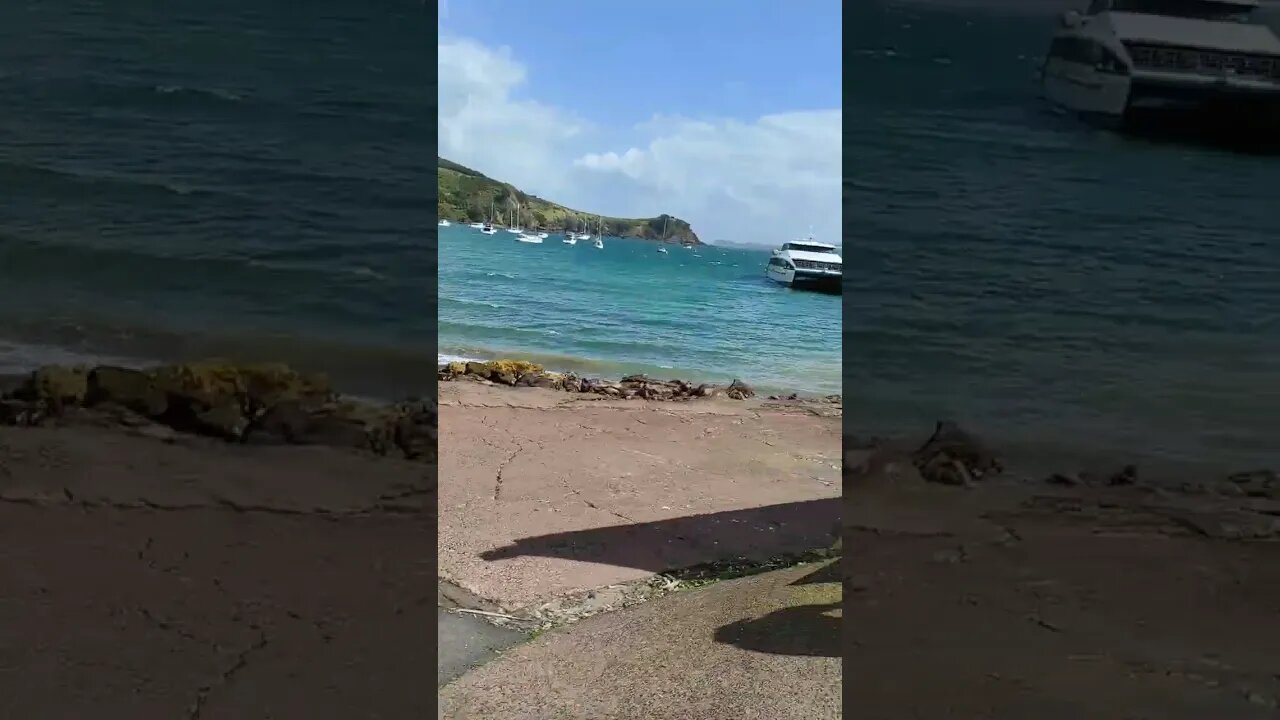 Early ferry trip home.