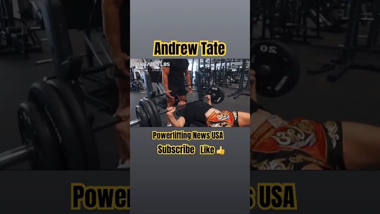 Andrew Tate: The TOP G Bench Press Expert #viral #short #shorts