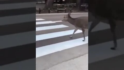 ۱۹ اوت ۲۰۲۲