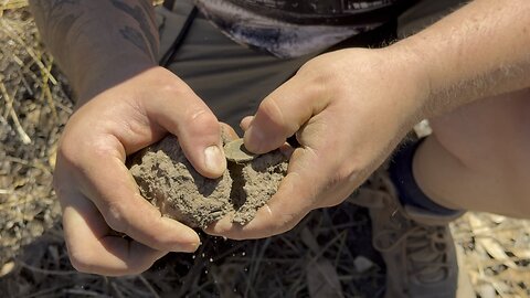 Kinda Surprise Metal Detecting