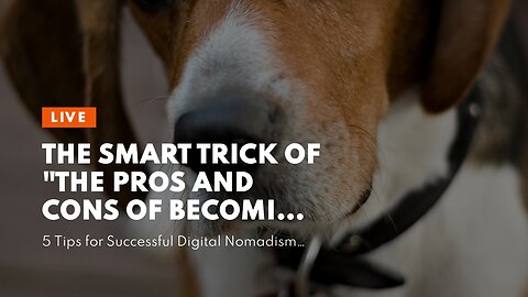 The smart Trick of "The Pros and Cons of Becoming a Digital Nomad" That Nobody is Discussing