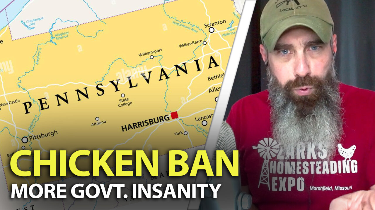 Pennsylvania Town Banning Chickens Per Dept. Of Health