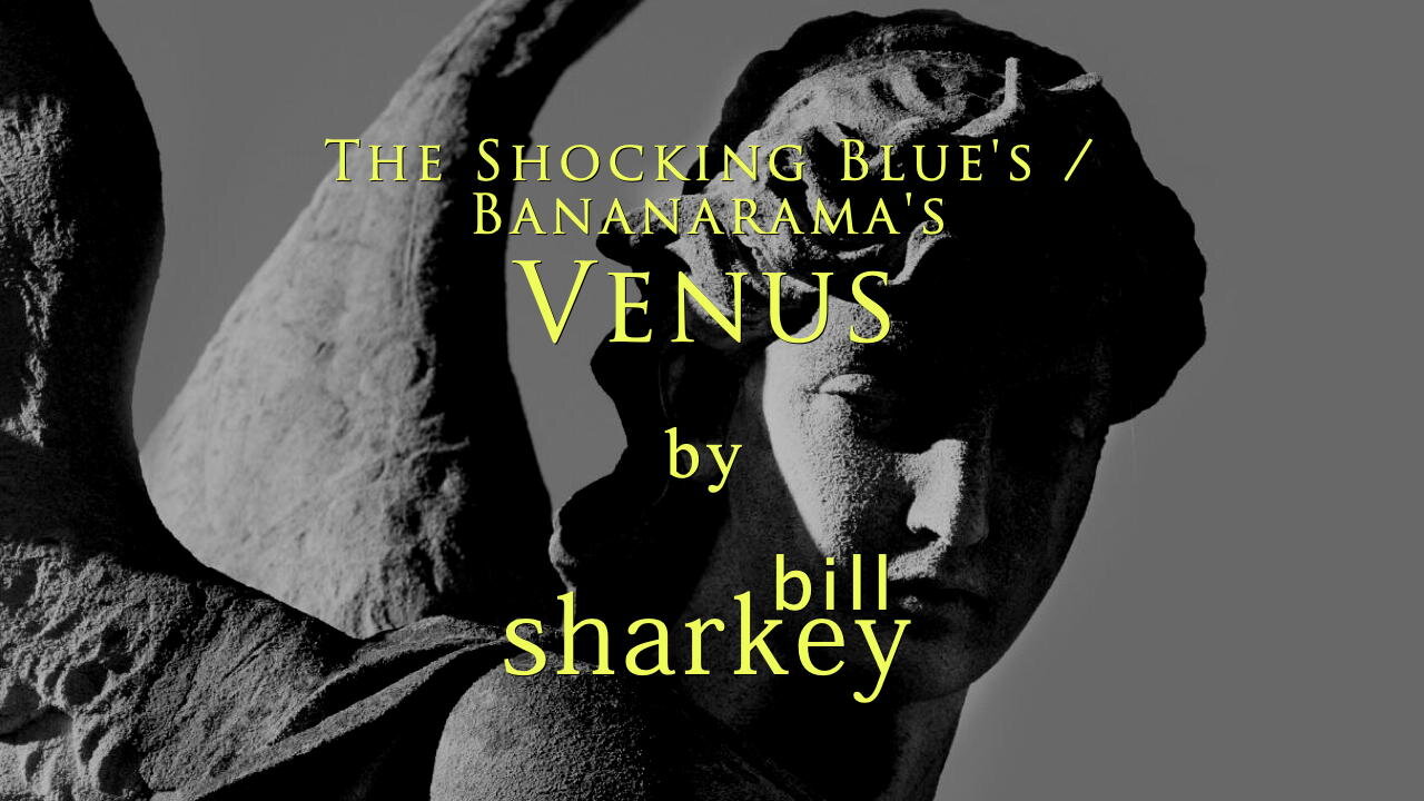 Venus - Shocking Blue / Bananarama (cover-live by Bill Sharkey)