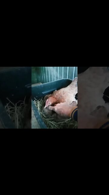 Good morning Forest 10th September 2022