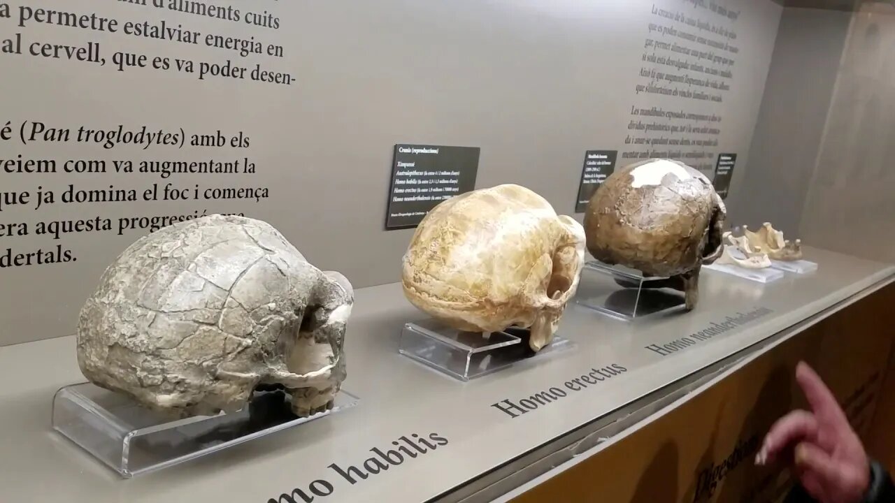 Mi tio Ramon 10000 BC visitando con Ketty Tal Cual