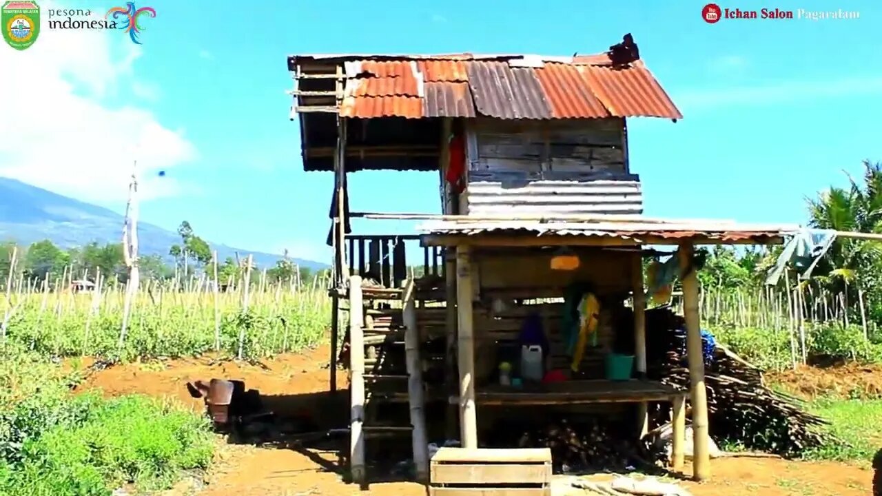 DENALI -- NASIB TERBUANG -- / GITAR TUNGGAL BATANGHARI SEMBILAN SUMATERA SELATAN DAERAH PRABUMULIH