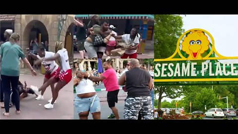 Sesame Place is Racist but Safer? Another Disney Fight w/ Disney's Magic Kingdom Brawl