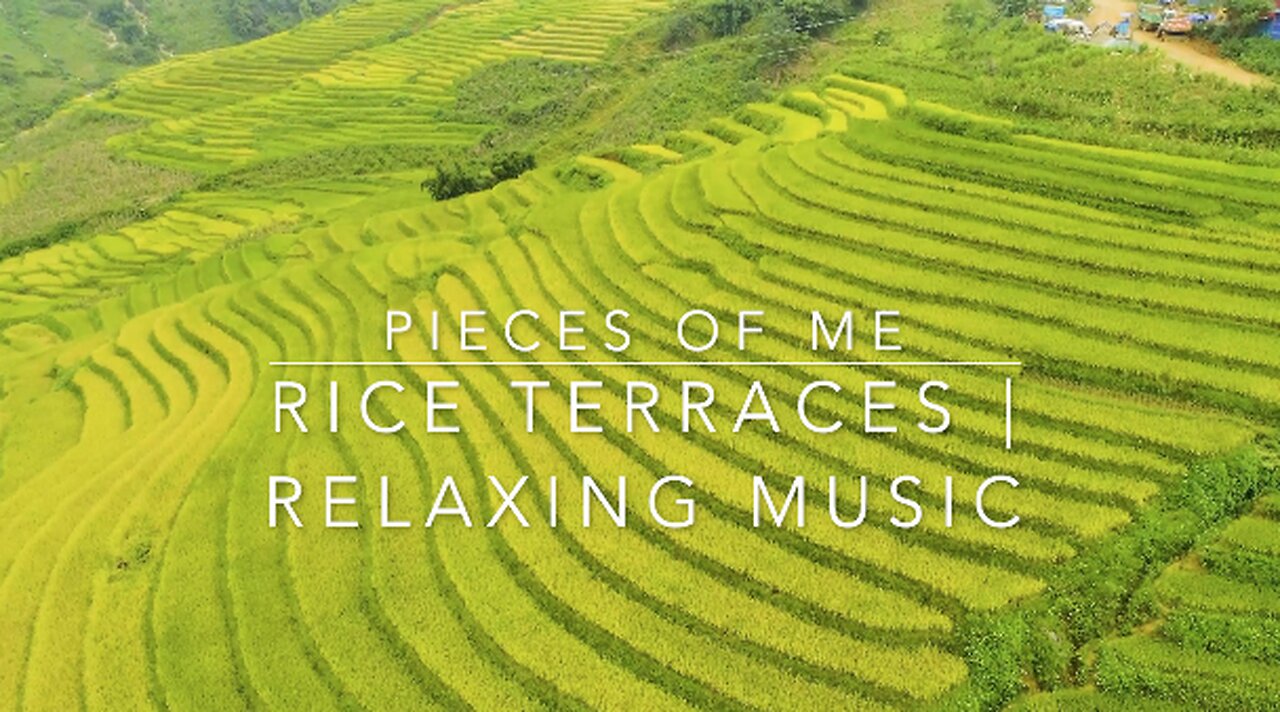 Rice Terrace | Calming Music & Wind