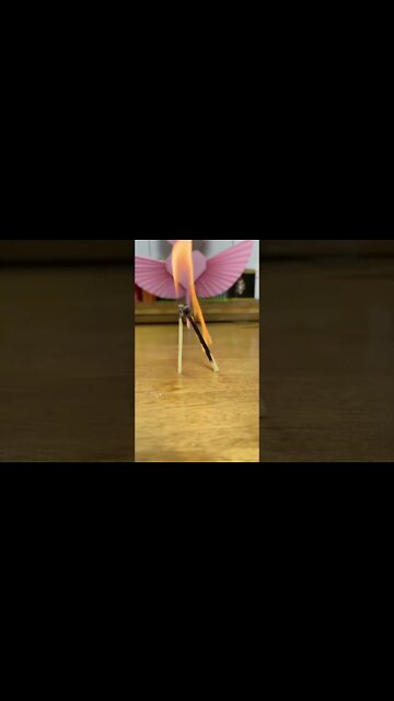 This is an example of how having bad friends affect us