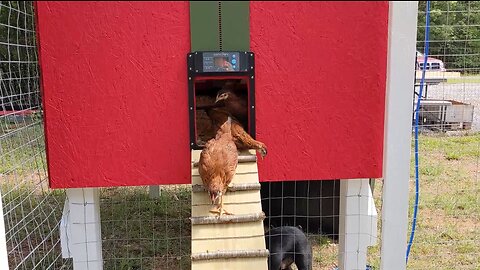 Cannon Farm - Chicken Coop - Part 2