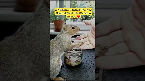 New Product Fail... 🐿️😂