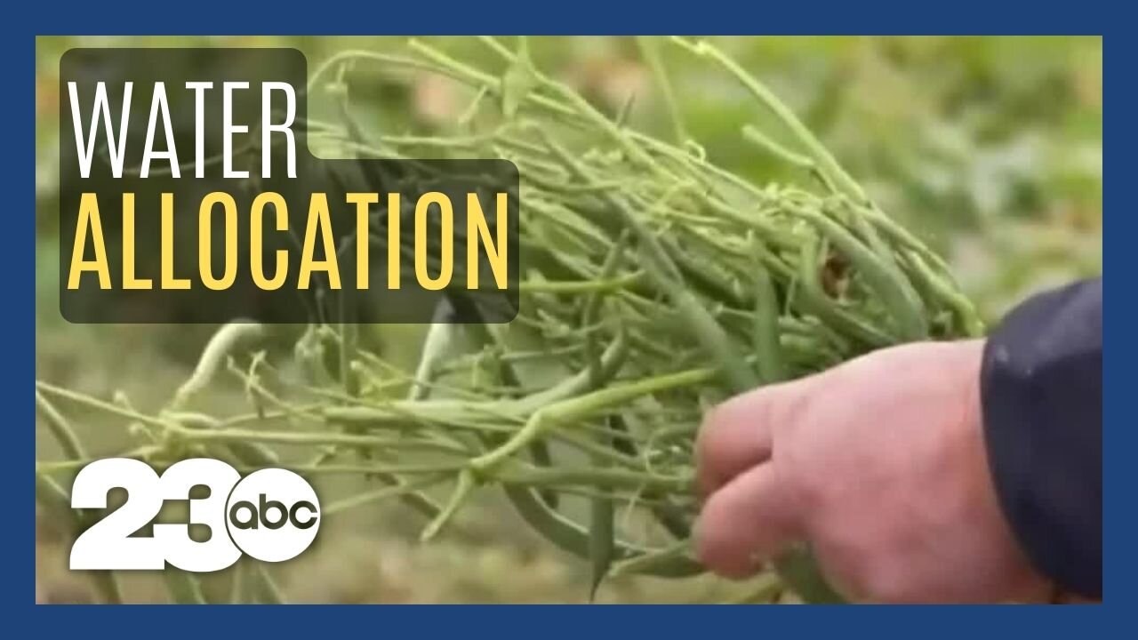 5 percent water allocation for 2023 has Kern farmers worried