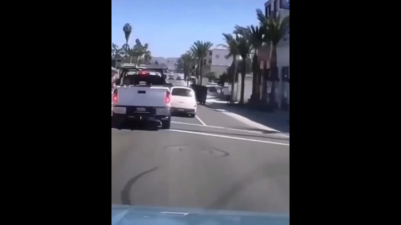 I Would Run Him Over With My Car