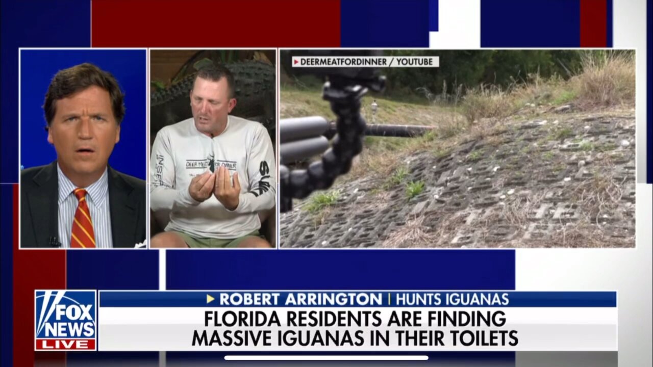 TUCKER CARLSON-ROBERT ARRINGTON I E-REPTILE DYSFUNCTION IGUANAS ARE TAKING OVER SOUTH FL