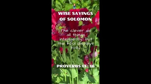 Proverbs 13:16 | Wise Sayings of Solomon