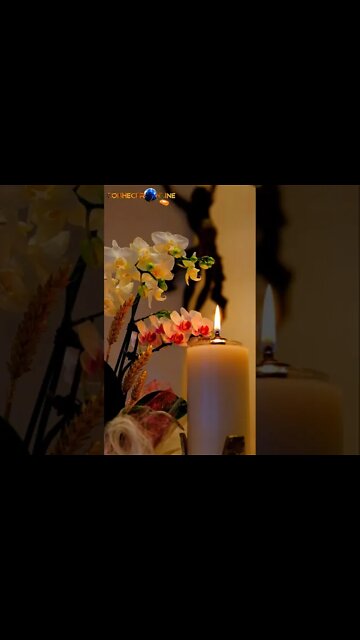 🔰Viva Vida |“Oração da Noite”| Oração| Prece | Jesus| Deus | 2021 #Shorts