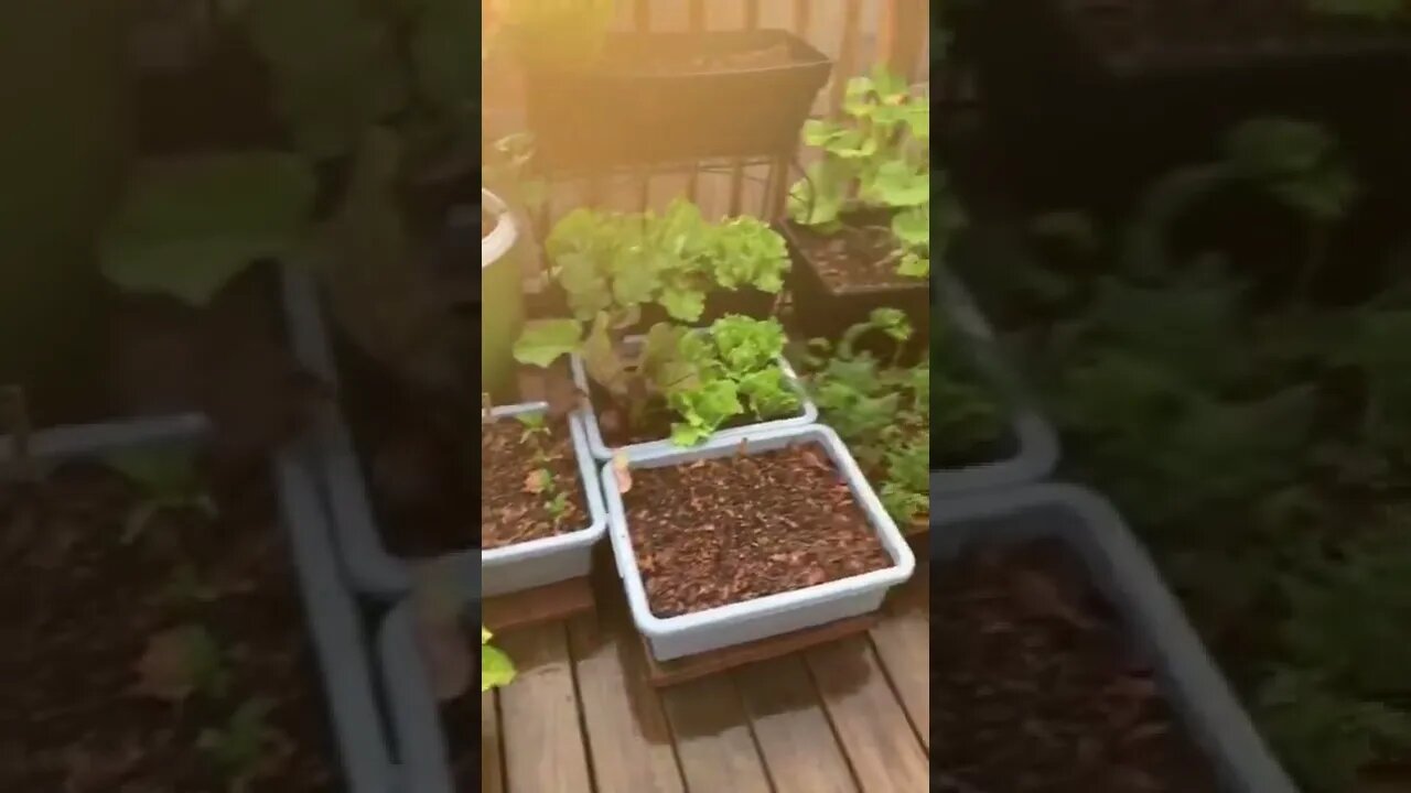 ۲۳ اوت ۲۰۲۲