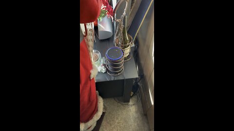 Alexa says George Bush in GitMo