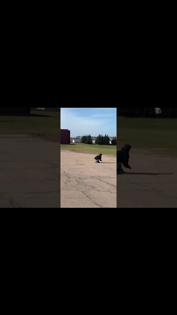 Low down longboarding practice