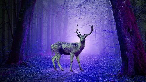 All 9 Solfeggio Frequencies Full Body Aura Cleanse And Cell Regeneration - Meditation Music ☯001