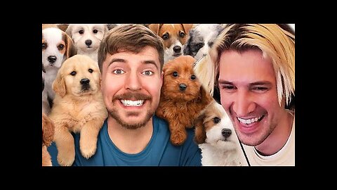 I Rescued 100 Abandoned dogs ! part -1